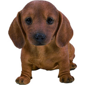 Vivid Arts Brown Dachshund Puppy (Size F)
