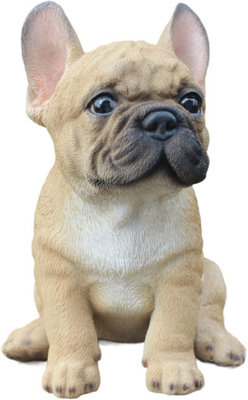 Vivid Arts - Bulldog Francés Lila Bronceado - XRL-LFRB-D