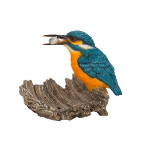 Vivid Arts Kingfisher on Driftwood (Size F)