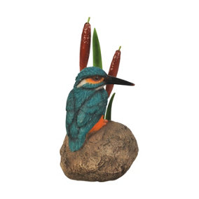 Vivid Arts Kingfisher on Stone with Bulrush (Size F)