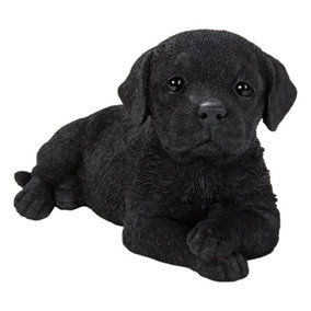 Vivid Arts Laying Black Labrador Puppy (Size F)