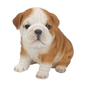 Vivid Arts Pet Pals Bulldog Puppy (Size F)