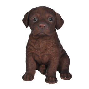 Vivid Arts Pet Pals Chocolate Labrador Puppy (Size F)