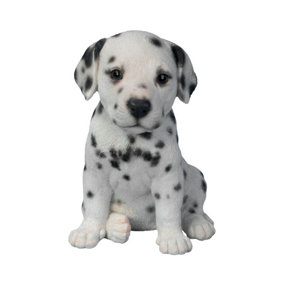 Vivid Arts Pet Pals Dalmatian Puppy (Size F)