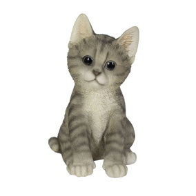 Vivid Arts Pet Pals Tabby Kitten (Size F)