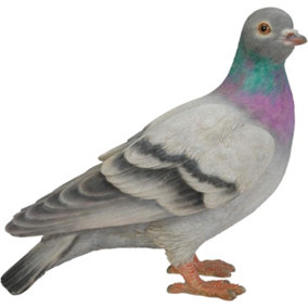 Vivid Arts Pigeon Garden Ornament