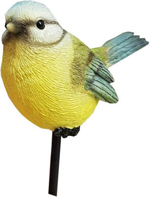 Herken de vogels in uw tuin - Meer dan 30 bekende vogelgeluiden