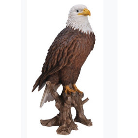 Vivid Arts Real Life American Bald Eagle - Size A