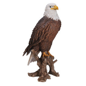 Vivid Arts Real Life American Bald Eagle - Size B