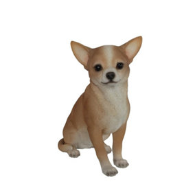 Vivid Arts Real Life Chihuahua - Size D