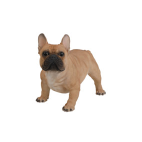 Vivid Arts Real Life French Golden Bulldog - Size A