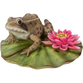Vivid Arts Real Life Frog on Lily Pad - Size D
