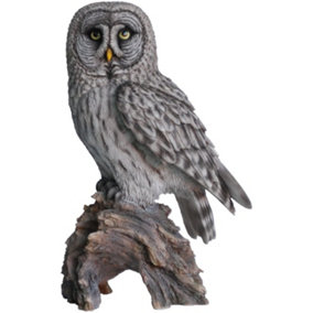 Vivid Arts Real Life Great Grey Owl - Size B