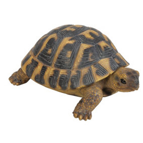 Vivid Arts Real Life Hermann Tortoise - Size B