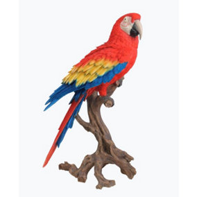 Vivid Arts Real Life Red Macaw Perched - Size A
