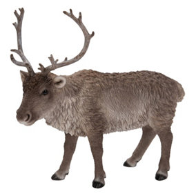 Vivid Arts Real Life Reindeer (Size D)