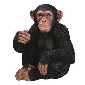 Vivid Arts Real Life Sitting Chimpanzee - Size D