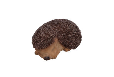 Vivid Arts Real Life Sleeping Baby Hedgehog (Size F)