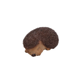Vivid Arts Real Life Sleeping Baby Hedgehog (Size F)