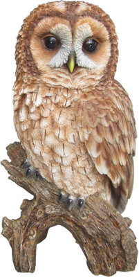 Vivid Arts Real Life Tawny Owl Garden Ornament