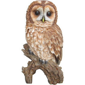 Vivid Arts Real Life Tawny Owl Garden Ornament