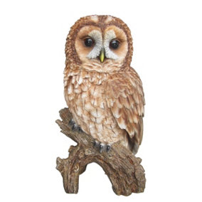 Vivid Arts Real Life Tawny Owl (Size F)