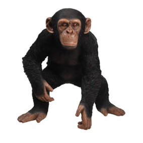 Vivid Arts Real Llfe Standing Chimpanzee - Size B