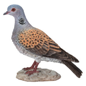 Vivid Arts Turtle Dove (Size D)