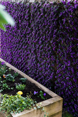 Vivid Violet Topiary Trellis 180 x 90cm Artificial Leaf Trellis Garden Screen - 6