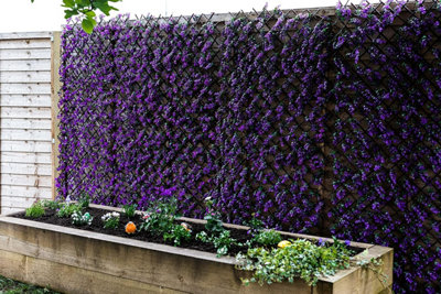 Vivid Violet Topiary Trellis 180 x 90cm Artificial Leaf Trellis Garden Screen - 7