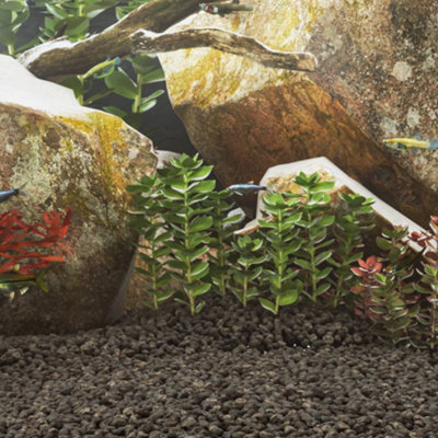 Volcanic Rocks for Aquarium Décor 10 kg Black 1-2 cm
