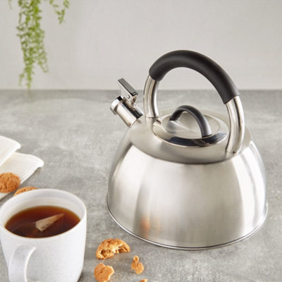 Stainless steel tea kettle deals