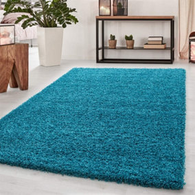 Wadan 120x170cm Teal Blue Shaggy Rug - Rectangular Soft Touch Thick Pile Modern Area Rug - Rugs for Living & Bedroom Non Shedding