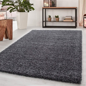 Wadan 60x110cm Dark Grey Shaggy Rug - Rectangular Soft Touch Thick Pile Modern Area Rug - Rugs for Living & Bedroom Non Shedding