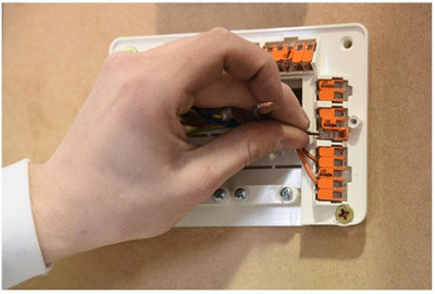 Wago 2273 8 Way Compact PushWire Connectors 0.5 to 2.5mm² - 3