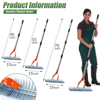 Walensee Durable Thatch Rake 15-Inch Steel for Lawn Dethatching and ...