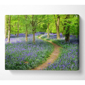 Walk Through The Bluebell Path Canvas Print Wall Art - Medium 20 x 32 Inches