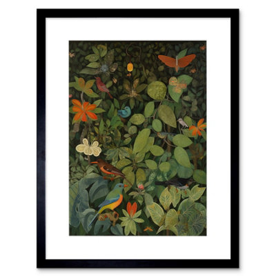 Wall Art Print Audubon Style Birds and Insects in Jungle Artwork Framed ...