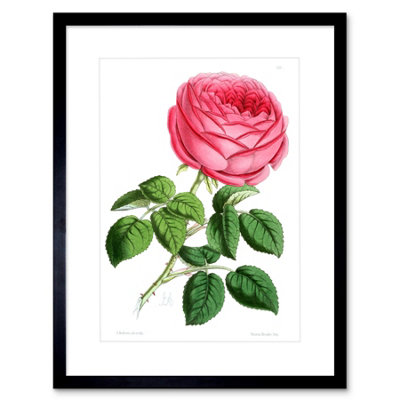 Wall Art Print Flower Red Pink Rose Artwork Framed 9X7 Inch