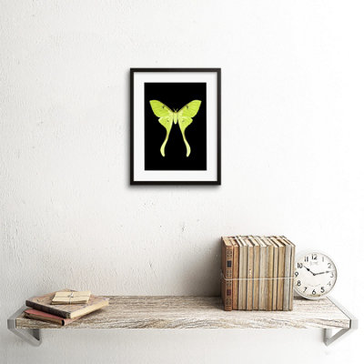 Wall Art Print Green Luna Moth Art Framed 9x7 inch