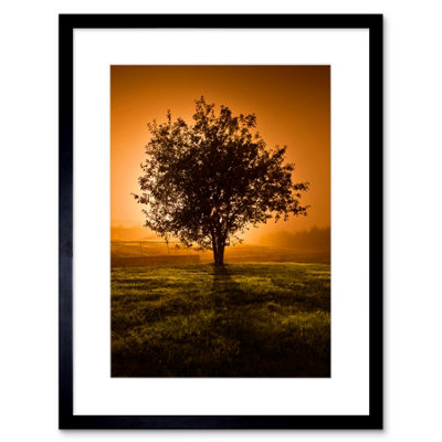 Wall Art Print Lone Tree Sunset Photo Art Black Framed 9x7 inch