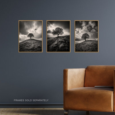 Wall Art Print Set of 3 Lone Tree on a Hill Black and White Photographs ...