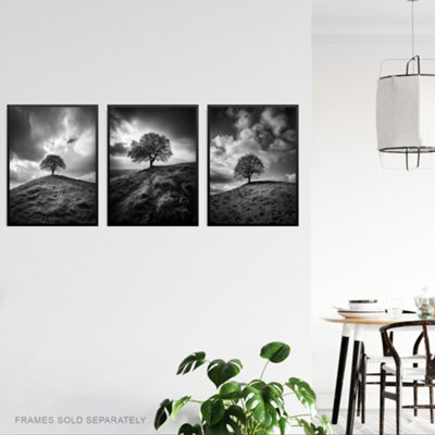 Wall Art Print Set of 3 Lone Tree on a Hill Black and White Photographs ...