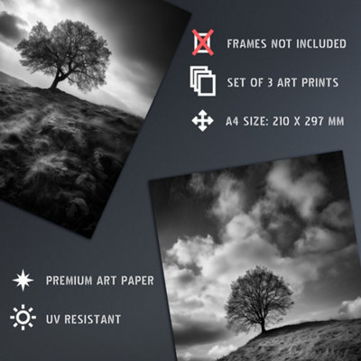 Wall Art Print Set of 3 Lone Tree on a Hill Black and White Photographs ...