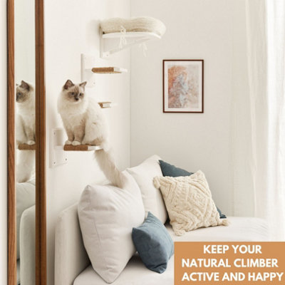 Indoor cat shelves sale