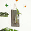Wall Mounted Hydroponic Planting Glass Planter with Wooden Backboard