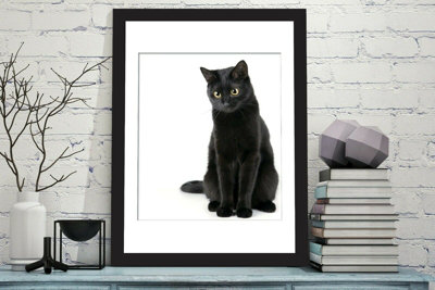 Walplus 2in1 Black Cat thinking Poster Multicoloured