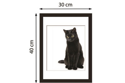 Walplus 2in1 Black Cat thinking Poster Multicoloured - 5