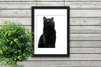 Walplus 2in1 Cute Black Cat Poster Multicoloured - 3