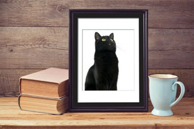 Walplus 2in1 Cute Black Cat Poster Multicoloured - 4